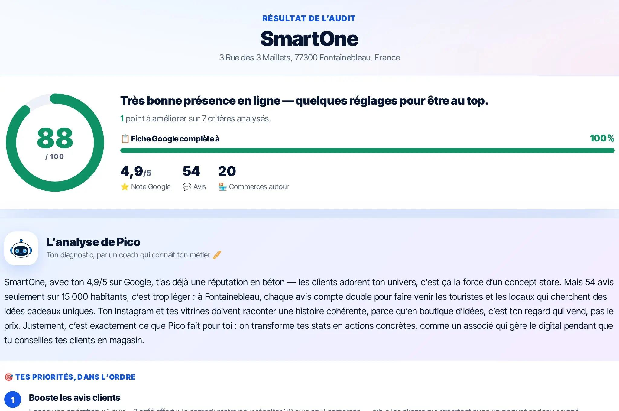 Résultat d'audit de présence digitale Pico : score sur 100 et critères vérifiés